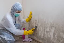 Best Mold Remediation for Healthcare Facilities  in Herricks, NY